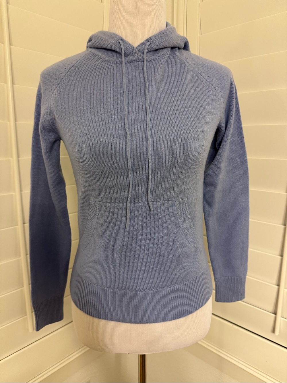 Banana Republic Light Blue Cashmere Hoodie